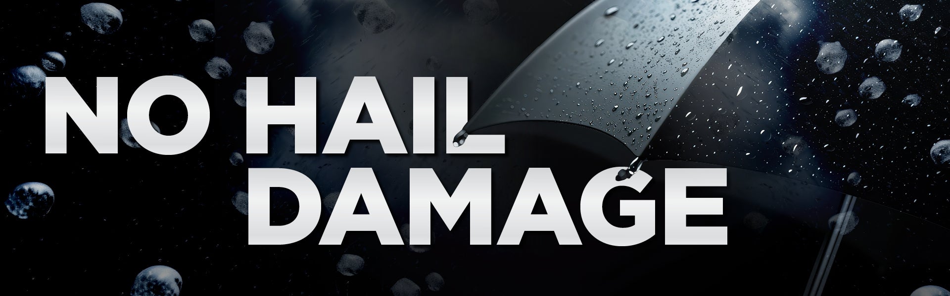 no hail damage 